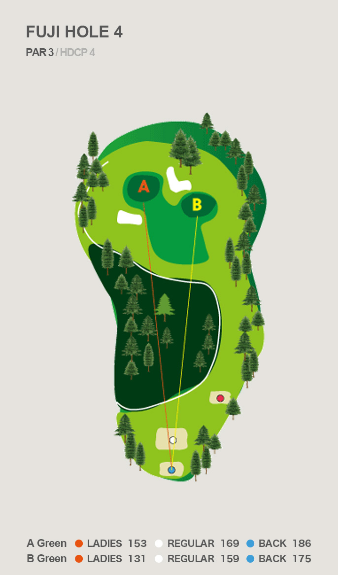 HOLE 4