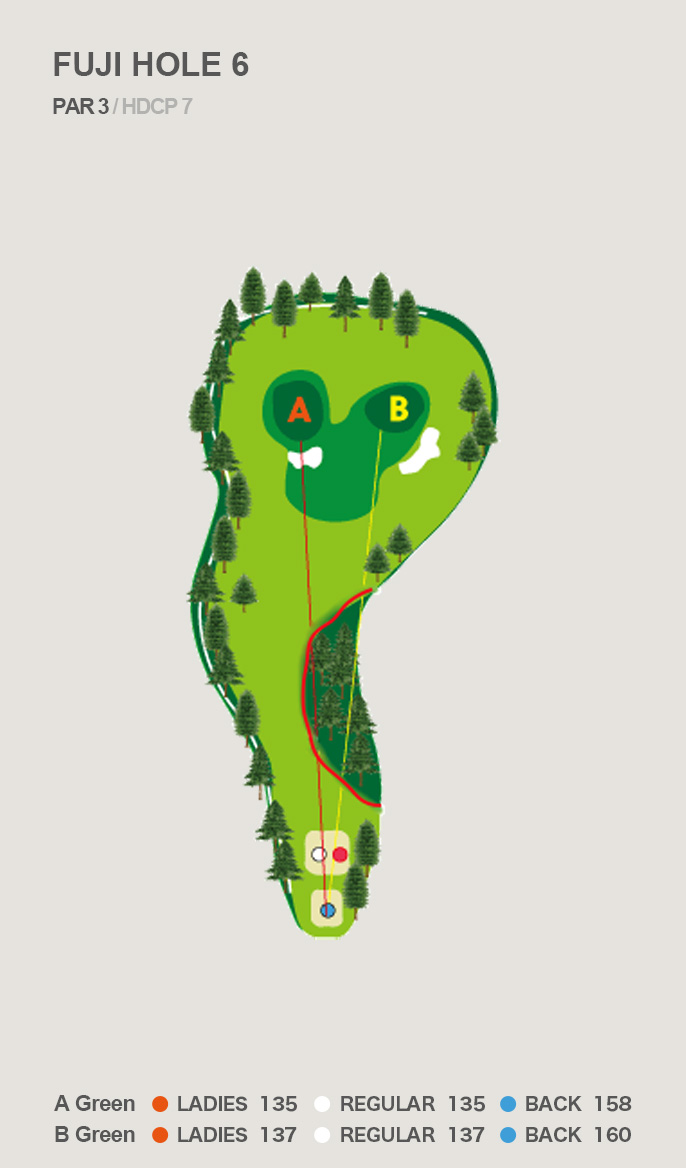 HOLE 6