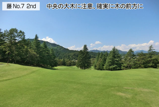 アドバイス2
