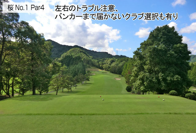 アドバイス1