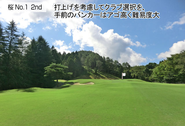 アドバイス2