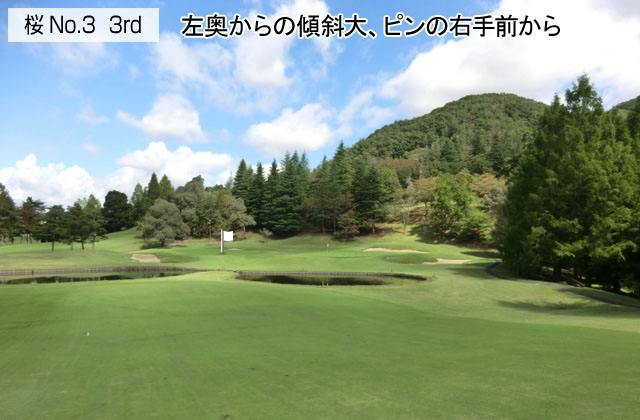 アドバイス3