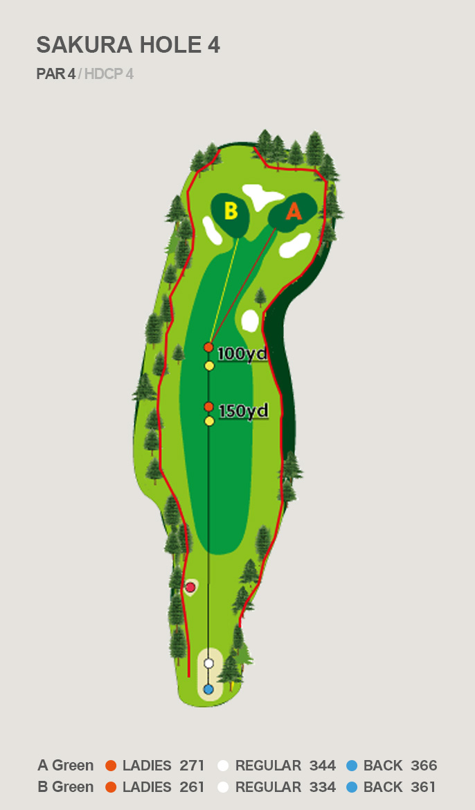 HOLE 4