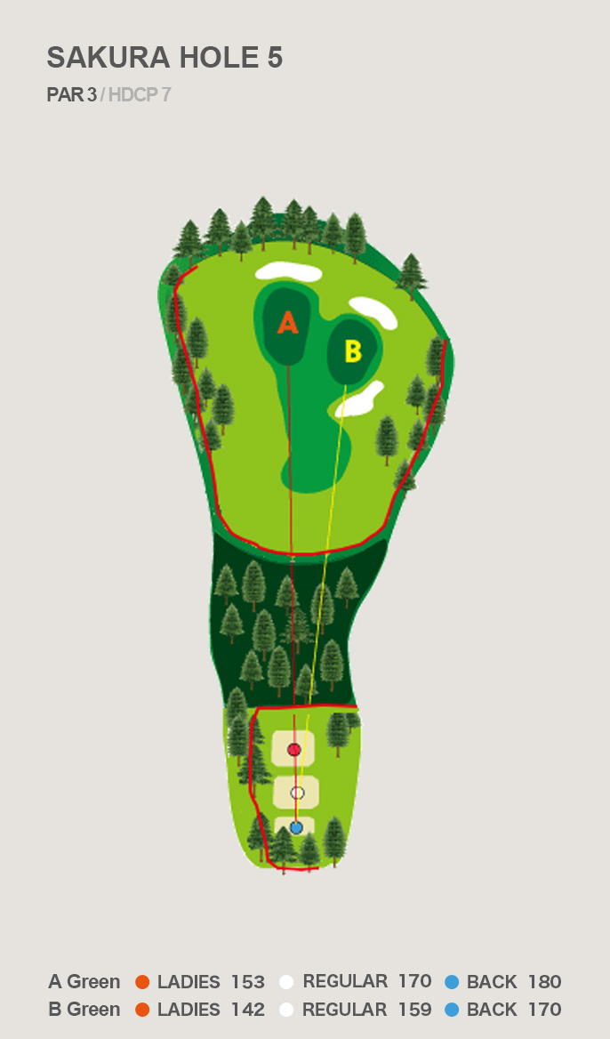 HOLE 5