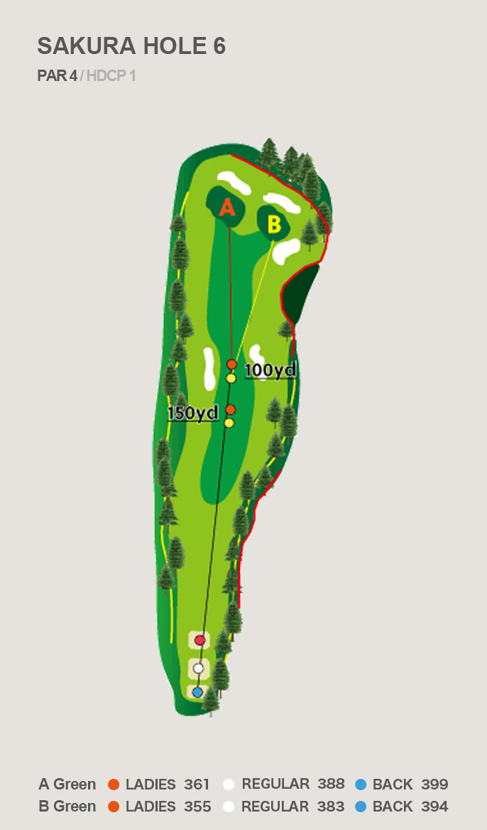HOLE 6