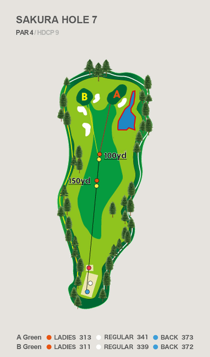 HOLE 7