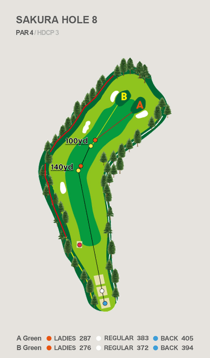 HOLE 8