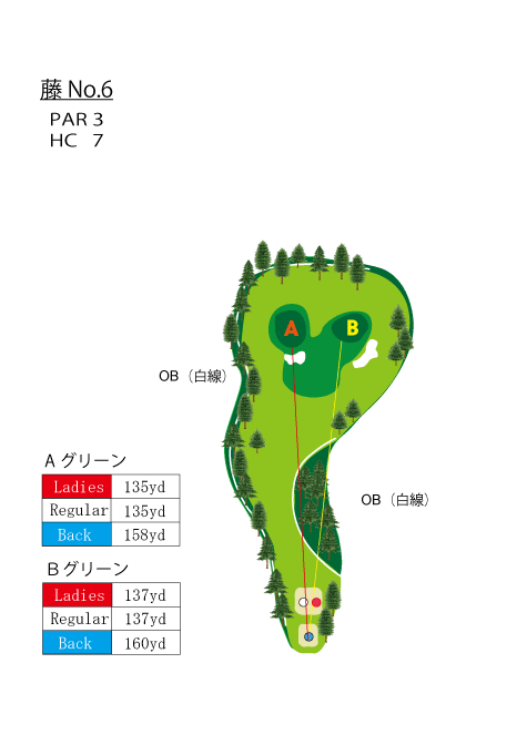 HOLE　NO.6（藤）
