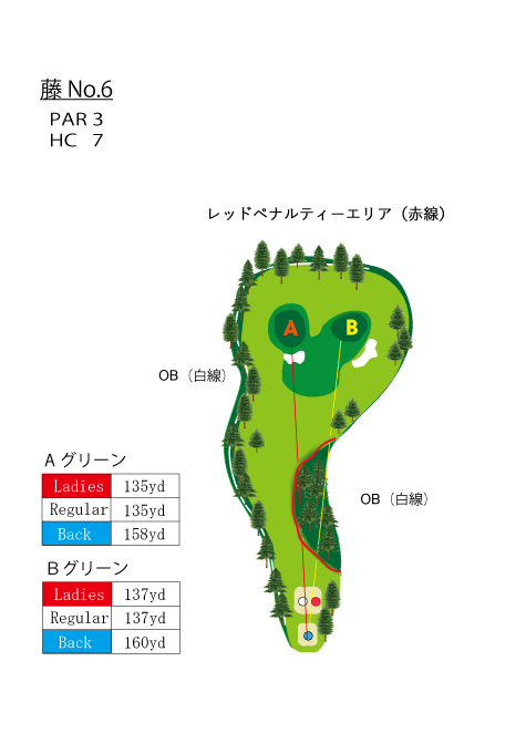 HOLE　NO.6（藤）