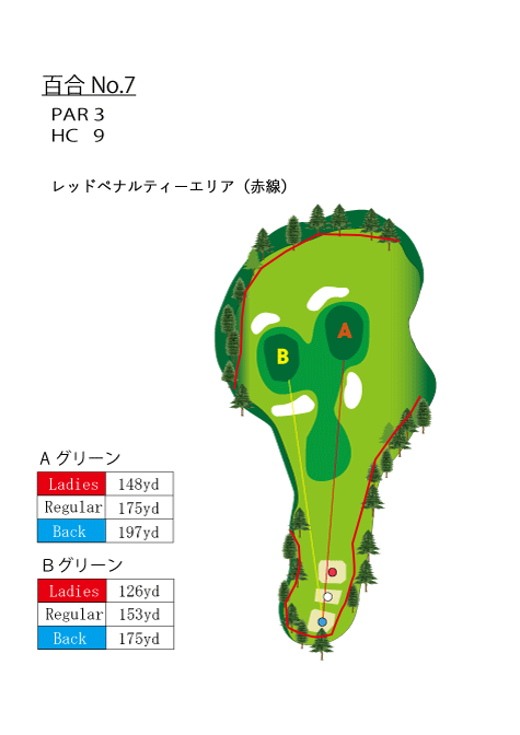 HOLE No.7（百合）